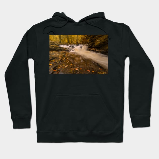 The Birks of Aberfeldy Fall Colours Hoodie by TMcG72